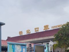 -珠海拱北口岸