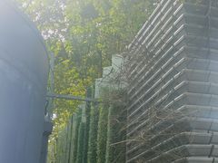 -蟹盛(上海白玉兰广场店)