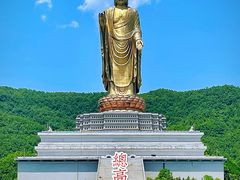 -中原大佛景区