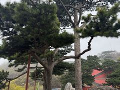 -妙峰山风景名胜区