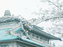 -武汉大学-樱园