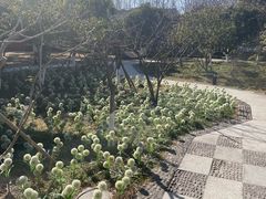 -东湖景区