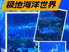 -石家庄极地海洋世界