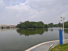 -莱西月湖公园