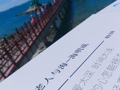 -养马岛旅游度假区