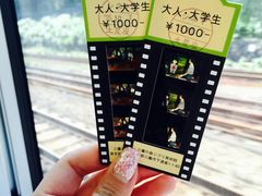 -三鹰之森吉卜力美术馆