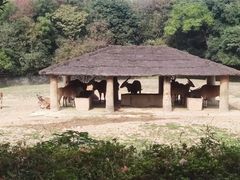 -杭州野生动物世界