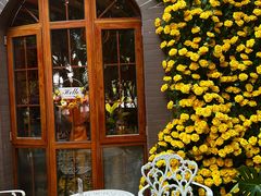 -月亮眼花园餐厅书吧酒吧