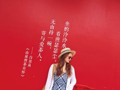 -茯茶镇