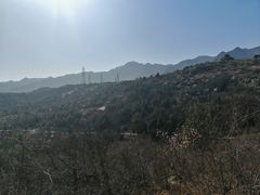 -白水寺森林公园