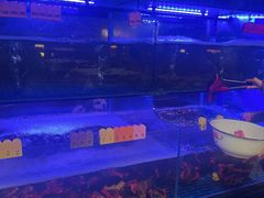 -辣螃铠盆盆蟹大排档(海昌店)