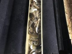 -竹泉农庄·竹筒饭(从化店)