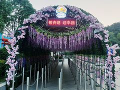 -南京银杏湖乐园