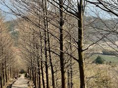 -东白山
