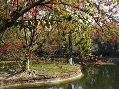 景点-望江楼公园