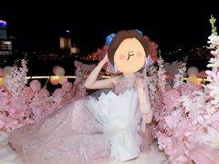 -InParty·游艇求婚策划生日派对布置(世纪大道店)