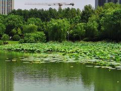 -南翔镇银翔湖公园