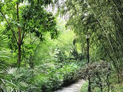-龙头寺公园