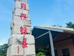 -中国扬子鳄村