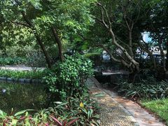 -黄埔荔枝公园