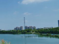 -金银湖国家城市湿地公园