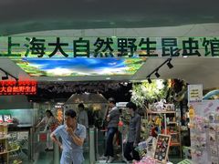 -上海大自然野生昆虫馆(东方明珠·爬宠昆虫探索中心)