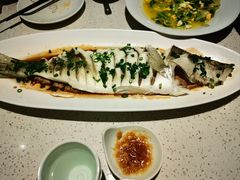 -船歌·鱼水饺青岛菜(金狮广场店)