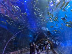 -华夏文旅西安度假区