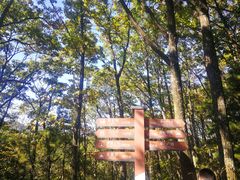 -洛阳白云山景区