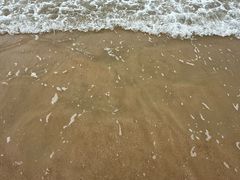 -阿弟特色海鲜餐厅·大排档(平潭店)