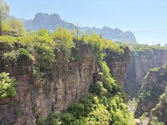 -王莽岭风景区
