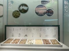 -中国湿地博物馆