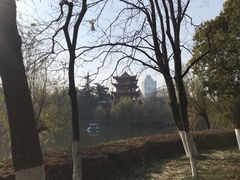 -沙市市中山公园