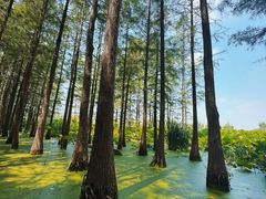-云龙湖旅游景区