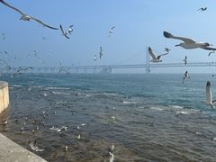 -星海广场