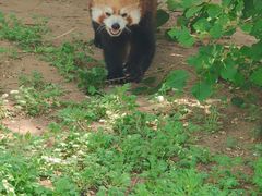 -鄂尔多斯野生动物园