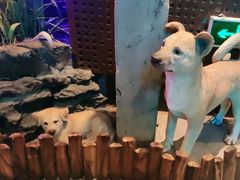 -食欲老院子荆芥疙瘩汤(公园茂店)