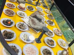 -游龙石文化科普馆