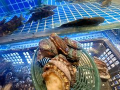 -芭菲盛宴·环球美食(锦城万达广场店)