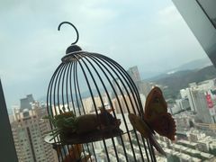 -君悦酒店·大堂酒吧·高空下午茶·暮色微醺