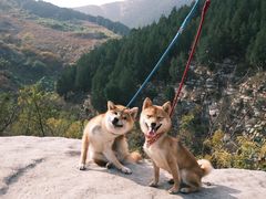 -龙洞风景区-藏龙涧