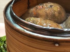 -糖朝(尖沙咀店)