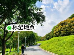 -风云岭森林公园