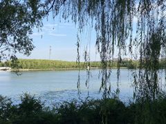 -大兴滨河森林公园