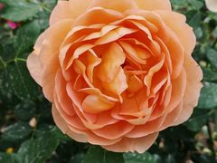 -上海交通大学(闵行校区)