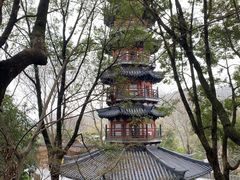 -上海佘山国家森林公园西佘山园