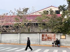 -那家小馆•北京菜•烤鸭(香山店)