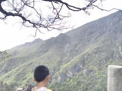 -牛背梁国家森林公园