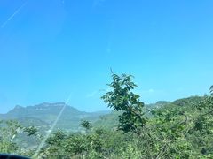 -重庆睡佛山森林公园