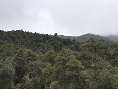 -九龙江国家森林公园